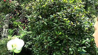 Czech amateur blowjob and fucking POV in public