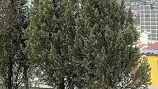 Mommy-dom Makes U Addicted to Submission and Humiliation