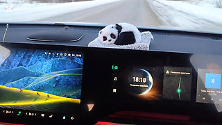 Winter drive. Full version