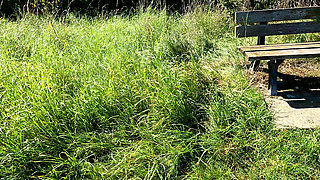 Hanging Udders Beaten Nicely