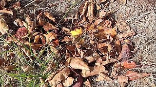 SweetHana Japanese Teen Drained in Garden Under Apple Tree - Happy 18 Year Old Schoolgirl Water Fun