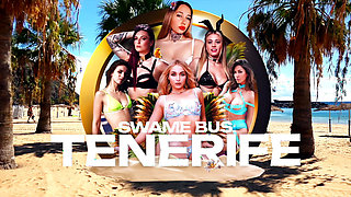 Swamebus Arrives in Tenerife