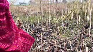 Desi Bhabhi Outside Romance