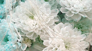 Bouquet of Flowers