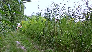 Lesbian teens fingering and oral pussy lick