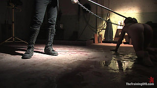 The Training of Dia Zerva, Day Four