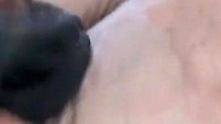 Horny Jerking off in the Stockings
