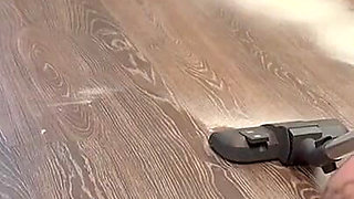 Leather-clad Maid & Her Powerful Miele: White Dust Cleanup