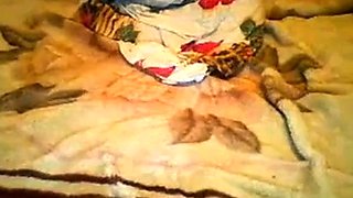 Hot Romanian-Italian Webcam Girl