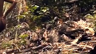 Public Flashing Of Big Natural Tits In The Moment Of Escape