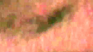 Surpeise Visit