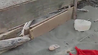 Girlfriend Handjob My Cock on the Nude Beach in Front of Many Strangers - Misscreamy