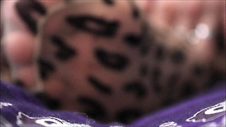 Naughty Leopard Pantyhose Tryon