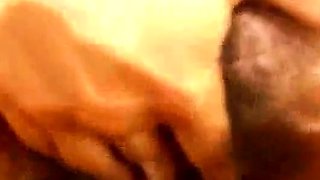 Quella Vacca di Laura: Italian Amateur Anal Blowjob