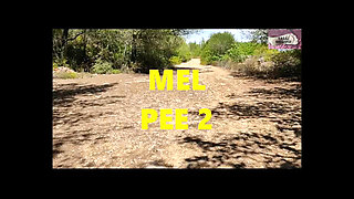 Pee 2