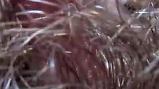 Hairy pussy is not an obstacle to clit play