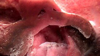 Pulled amateurs close up car sex