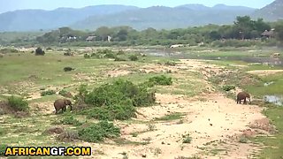 Busty African Girlfriend Gets Pounded by White Boyfriend in Park POV