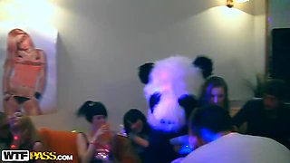 After party begins with nasty panda's blowjob