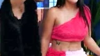 The Insatiable Ones P Luche Family