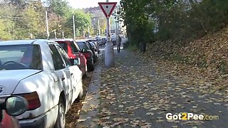 Pissing On The Sidewalk