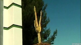 Fun In The Sun Vintage Hot Video