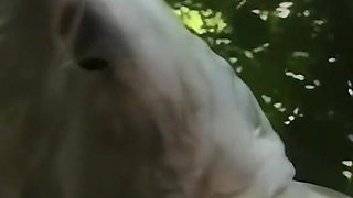 Busty Blonde Fucked by Two Big Cocks