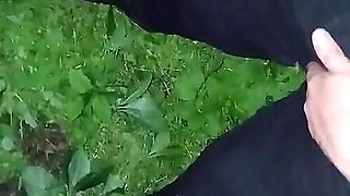 We Have Risky Sex in the Forest