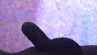 Bhabhi Sucked and Fucks the Whole Night