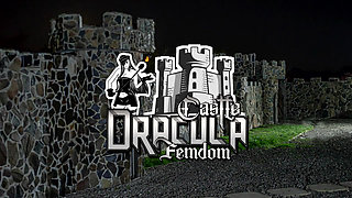 MIND SHAPED TO THE RHYTHM OF THE WHIP