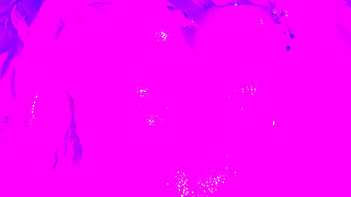 let me seduce you baby..real nice and real slow