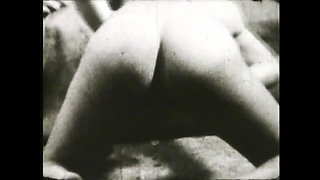 Playing with the Bunny