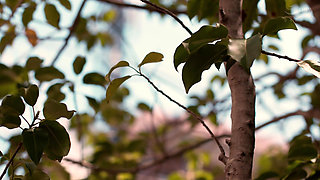 Hamazaki Mao - A Sexually Frustrated Wife Who Became Obsessed With Dick From A Hot Student.