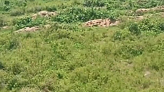 Shy Girl Enjoying Her Views and Then the End