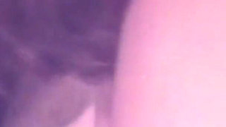 The Gozona Pig Gets Milk