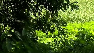 Outrageous Henry Tsukamoto Record Beautiful Sister Erotic