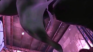 Vault Girls Love Huge Mutated Giant Dicks in Fallout 4 Love Stories Prologue