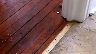 Destroying this kitchen with my powerpissing stream