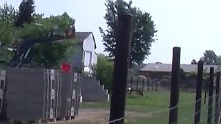 Grandma Sucks Cock and Get Wild