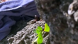 Real amateur blonde Eurobabe Beatrix Glower banged in public