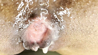 Pink Foxx Dripping Anal Creampie