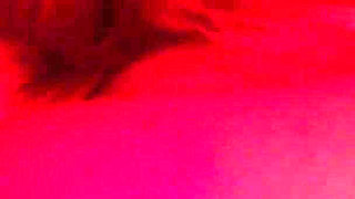 Couple Invited Me to Have a Foot Fetish Party and I Ended up Making Her Cum in My Mouth After Sucking Her Pussy