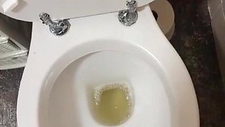 Pissing in the Toilet Compilation