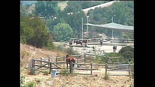 Ready for the Fuck of the Day