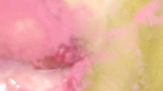 Pink Foxx Giving Kisses