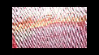 Rebecca Steel Has a Lot of Inner Fire