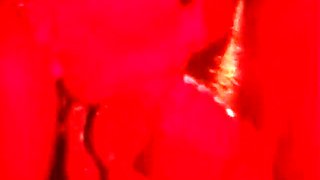 Brunette Banged Anal Threesome - Olivia Del Rio And Michael J Cox