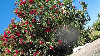 Hot Lesbian Interracial Fun in the Pool