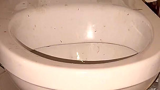 Licking Dirty Floor and Toilet, Flashing Head in It