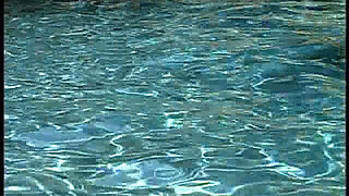 Movie From Angelina Dicarlo of Chica Boom